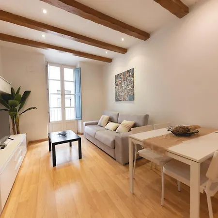 Apartament Bravissimo Placa Dels Raims