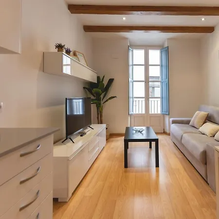Apartament Bravissimo Placa Dels Raims