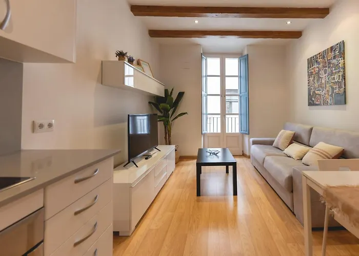 Appartamento Bravissimo Placa Dels Raims